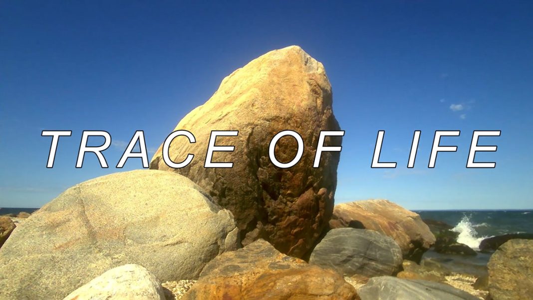 T. J. Wilcoxhttps://www.exibart.com/repository/media/formidable/11/img/c8f/TW3006-01-1068x601.jpg