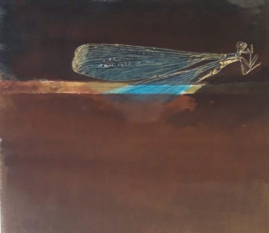 Carlo Barbero – Rètine Carlo Barbero – Rètine