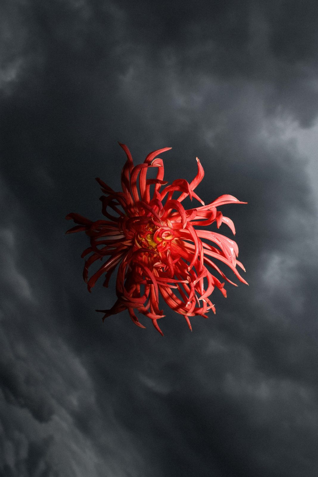 Gaia Anselmi Tamburini – Cieli Sonorihttps://www.exibart.com/repository/media/formidable/11/img/c9f/cieli_sonori_ph.gaiaat_02-1068x1602.jpg