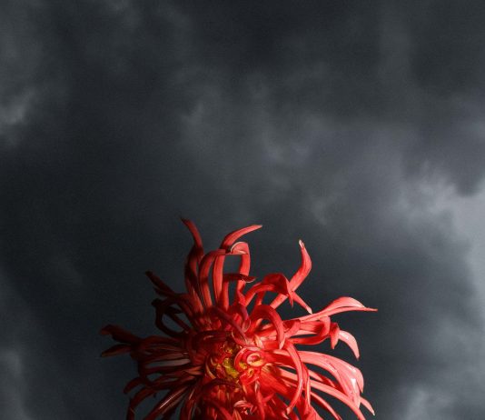 Gaia Anselmi Tamburini – Cieli Sonori Gaia Anselmi Tamburini – Cieli Sonori