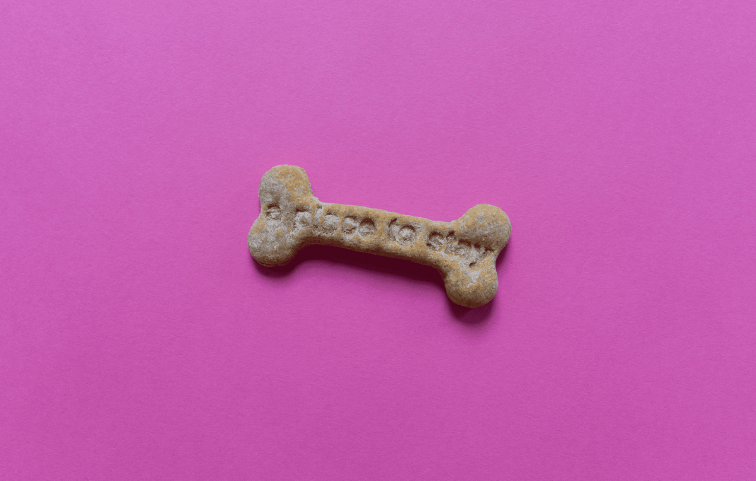 A Place to Stayhttps://www.exibart.com/repository/media/formidable/11/img/cd8/Schermata-2024-09-19-alle-11.16.48-1068x680.png