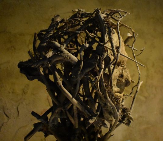 Gregorio Furnari – THAUMA – l’assenza che permane