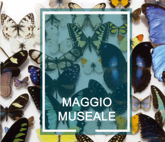 Maggio museale nell’ambito della Notte Europea dei Musei 2026