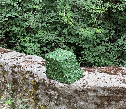 Lorenzo Cianchi – Doppia Fantasia