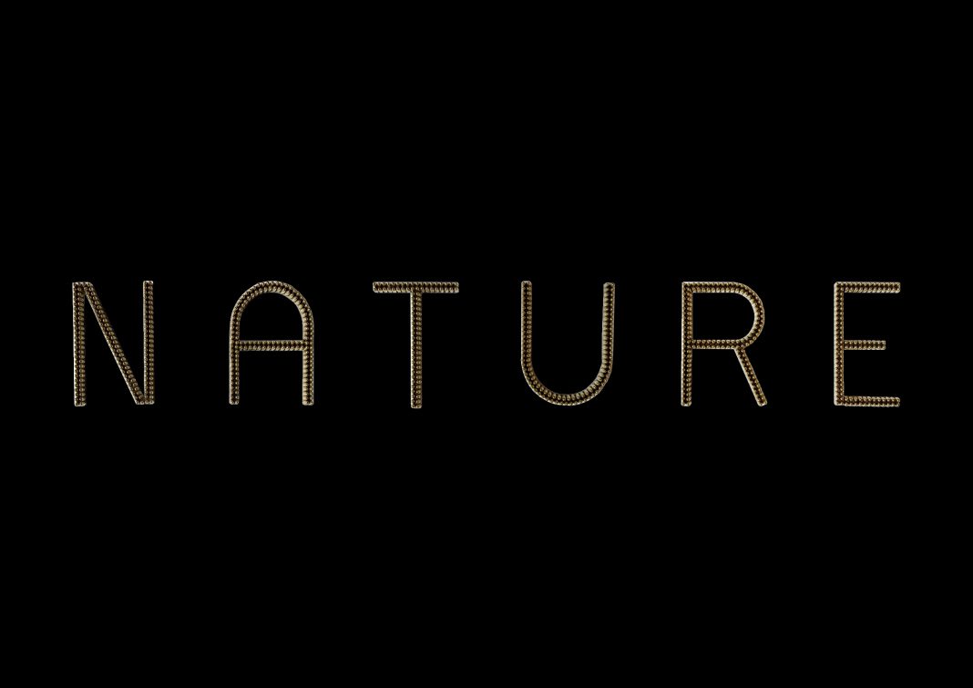 Nicola Evangelisti – Naturehttps://www.exibart.com/repository/media/formidable/11/img/d03/BAAE8DBC-64A5-44D9-8CF3-ECE1127644DC-1068x755.jpeg