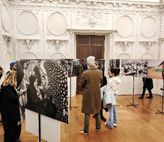 Occupied Territories