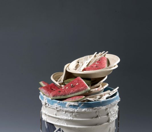 Metti, una domenica a pranzo Metti, una domenica a pranzo