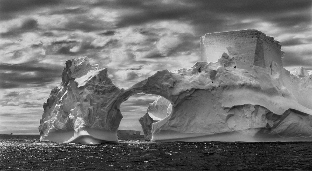 SEBASTIÃO SALGADO AL PARCO DELL’ANIMA DI NOTOhttps://www.exibart.com/repository/media/formidable/11/img/d5c/01_sebastiao_salgado_fotografia_full-1068x587.jpg