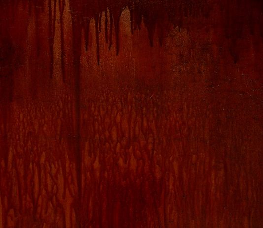 Massimilian Breeder – Correzione dorsale