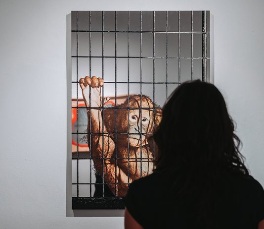 Michelangelo Pistoletto – Memoria di un istante. Quattro quadri specchianti Michelangelo Pistoletto – Memoria di un istante. Quattro quadri specchianti