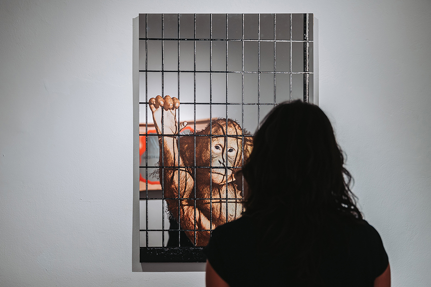 Michelangelo Pistoletto – Memoria di un istante. Quattro quadri specchiantihttps://www.exibart.com/repository/media/formidable/11/img/d81/Michelangelo-Pistoletto-CAMeC-8-ph-Irene-Malfanti.jpg