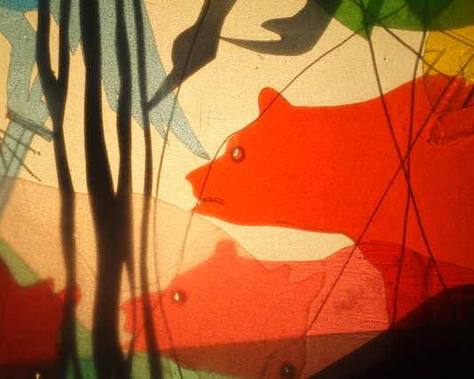 Natura / Nature Natura / Nature