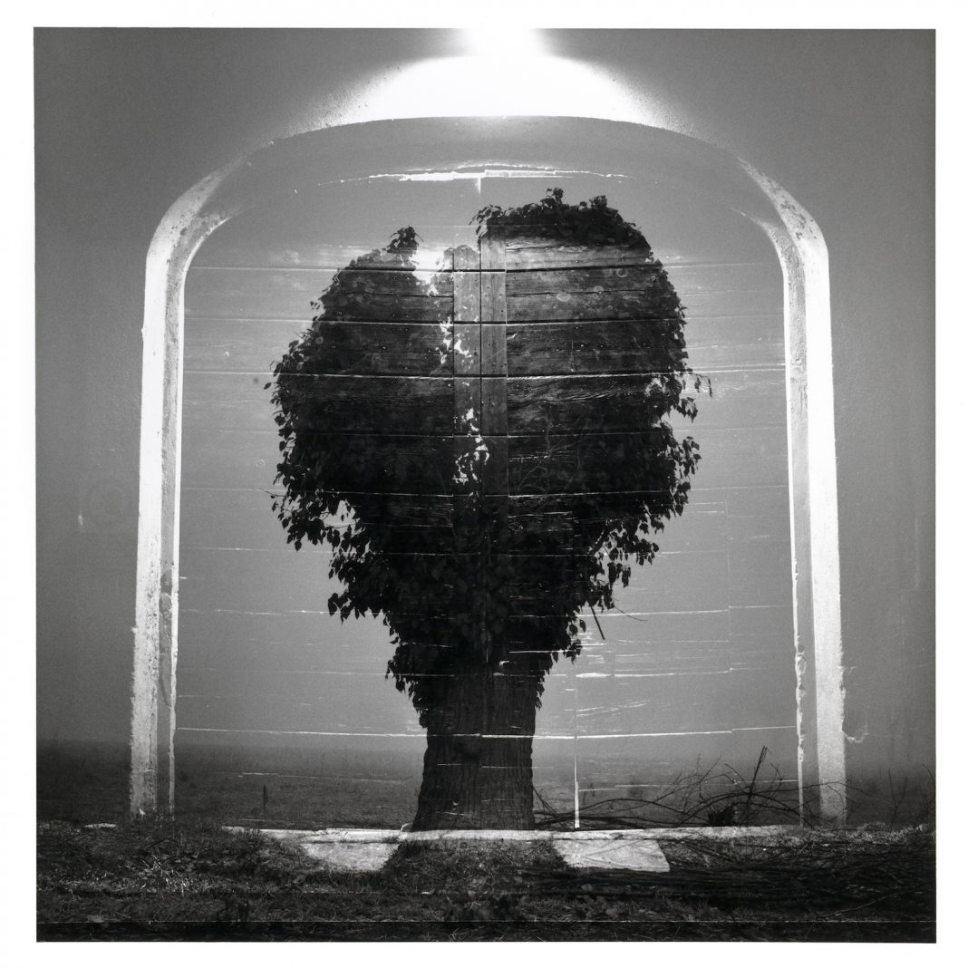 Multiverso. La natura come contemporaneitàhttps://www.exibart.com/repository/media/formidable/11/img/d85/Marcello-Vigoni-p-14-2018-1068x1068.jpg