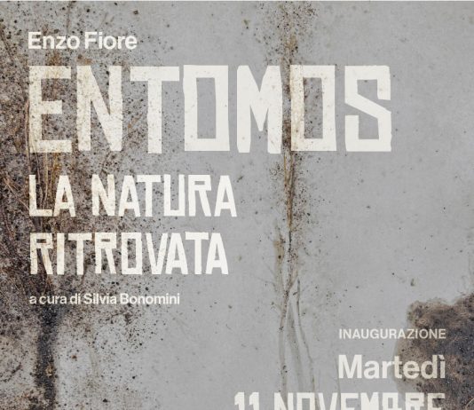 Enzo Fiore Entomos – La Natura Ritrovata