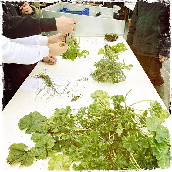 L’ORO DEL MIO GIARDINO incontrihttps://www.exibart.com/repository/media/formidable/11/img/d9a/LORO-DEL-MIO-GIARDINO-Incontri2-stampa-gicle╠üe-┬®raffaella-benetti.jpg