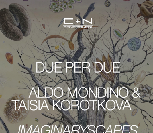 Taisia Korotkova / Aldo Mondino – Imaginaryscapes