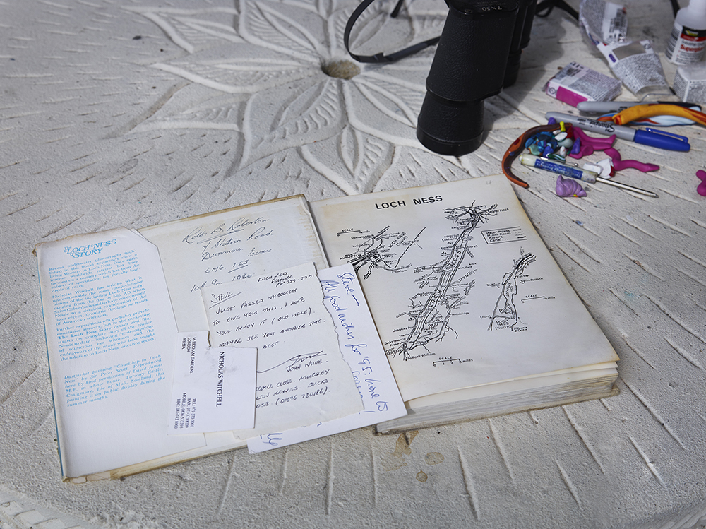 Shinwook Kim – In search of Nessiehttps://www.exibart.com/repository/media/formidable/11/img/d9f/Shinwook_Kim_2_The-Loch-Ness-Story_2018.jpg