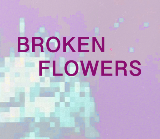 Broken Flowers Broken Flowers