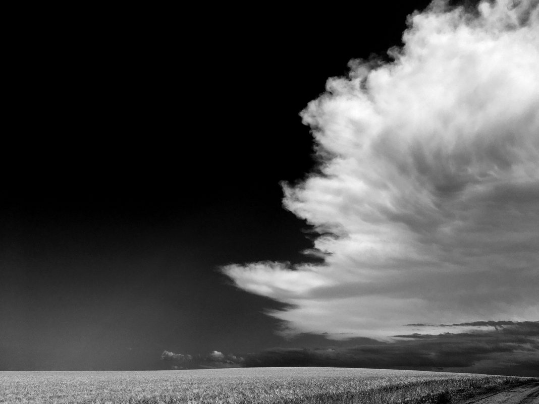 Amate terrehttps://www.exibart.com/repository/media/formidable/11/img/db5/Anna-Rosati-Amate-terre-4-1068x801.jpg