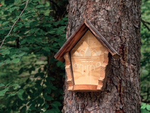 Nature Feeling Form Nature Feeling Form