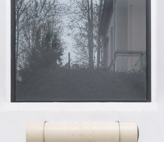 James Hillman – Non confondere il mio dito per la luna