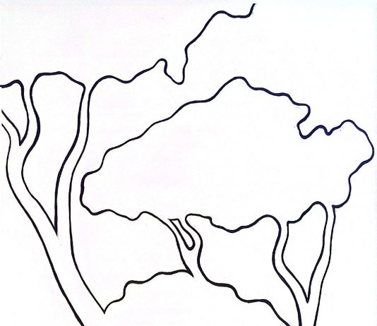 Cristallo Odescalchi – Poetry of the Presomatic Default Mode Network