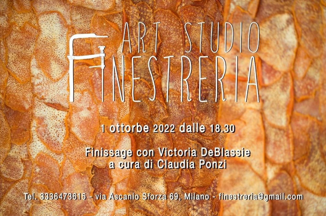 Victoria DeBlassie – Viscosità Spagirichehttps://www.exibart.com/repository/media/formidable/11/img/e18/Finissage-Claudia-Ponzi-Art-Studio-Finstreria-1068x707.jpeg