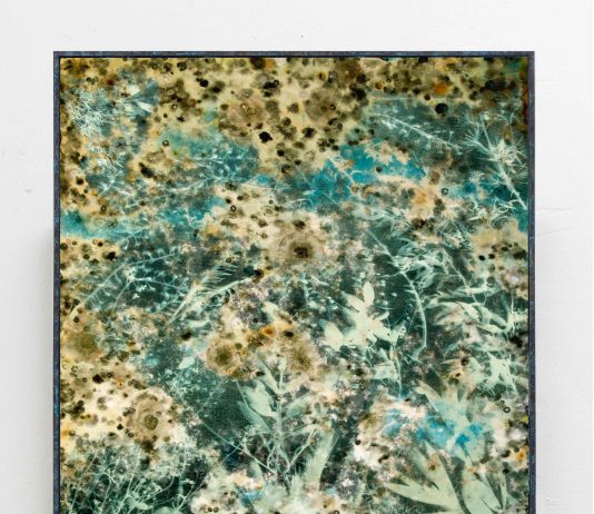 Silvia Mariotti – Anime di Cristallo