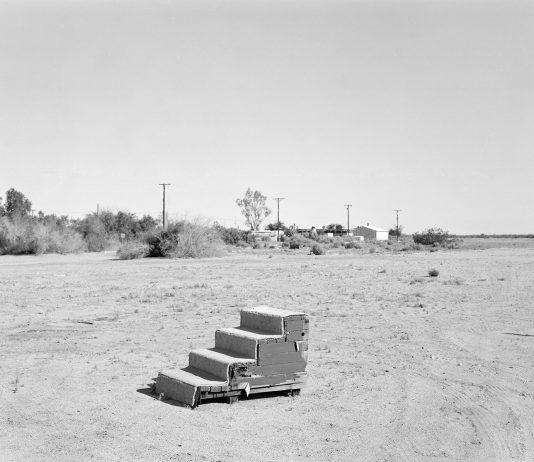 Gabriele Rossi – The Lizard