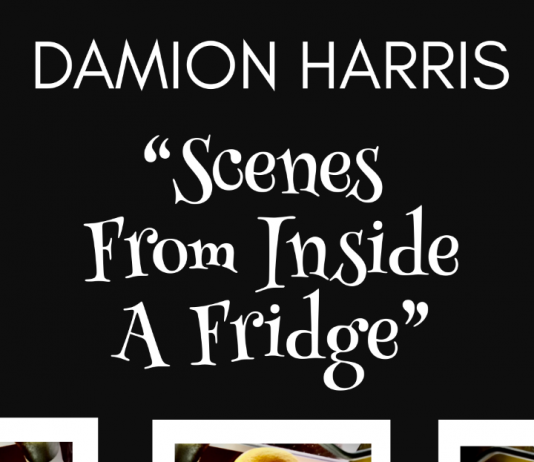 Damion Harris – Scenes From Inside A Fridge