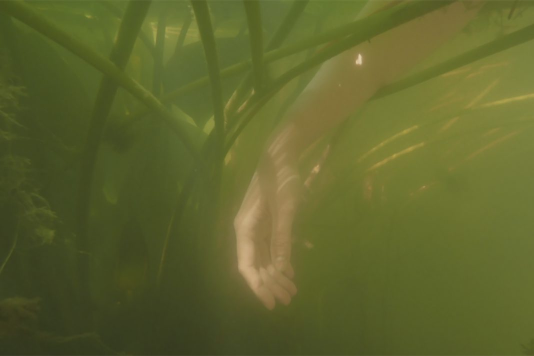 Nona Inescu – Waterlily Jaguarhttps://www.exibart.com/repository/media/formidable/11/img/e48/Underwater-1-copy-1068x713.jpg