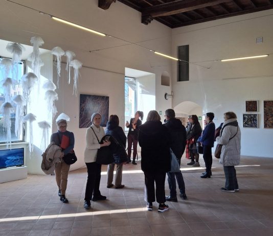 Bellezza Collaterale