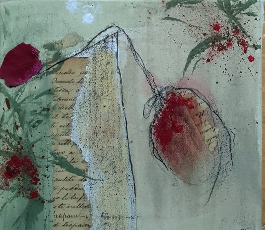 I Fiori e il Deserto