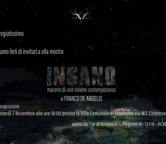 Insano. Macerie di una visione contemporanea