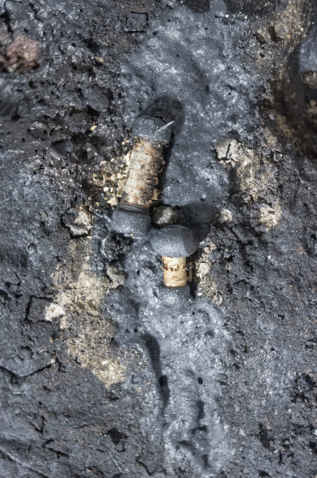 Flavia Spasari – Transposehttps://www.exibart.com/repository/media/formidable/11/img/e5c/custom_resized_42177f2d-f0a1-4a1c-afe4-b904e4de2d8e-1068x1608.jpeg