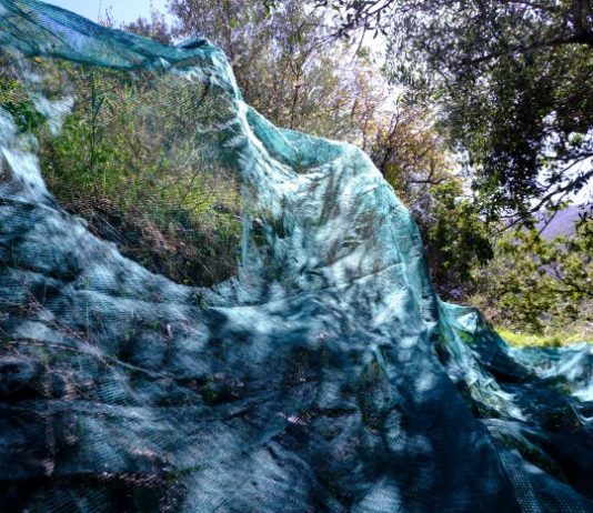 Ilai Nawe – Panda 4×4