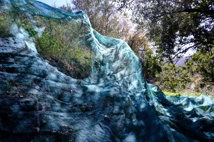 Ilai Nawe – Panda 4×4https://www.exibart.com/repository/media/formidable/11/img/e64/rete-.jpg