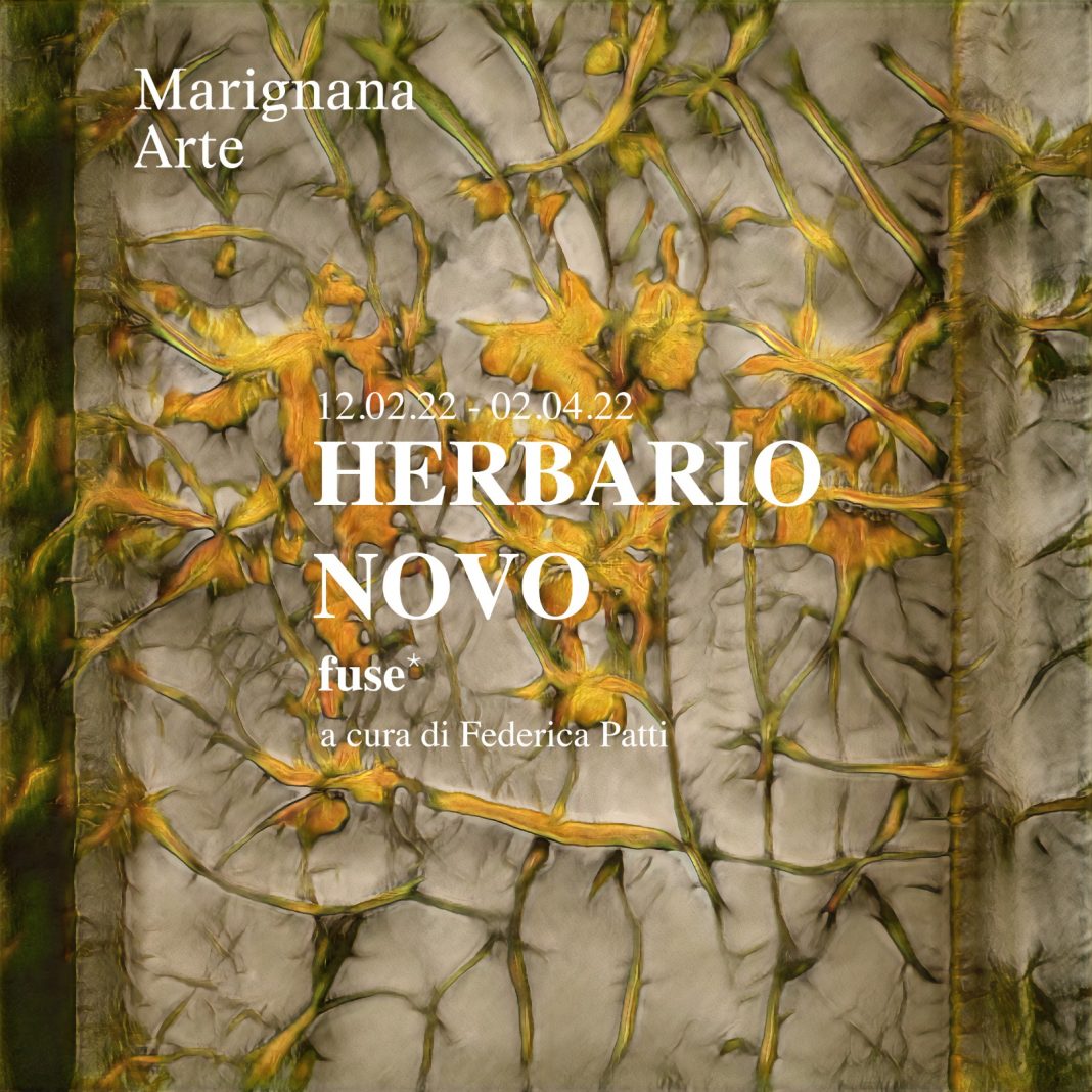 fuse*. Herbario Novo. Dagli erbari antichi ad Artificial Botanyhttps://www.exibart.com/repository/media/formidable/11/img/e6a/logo-Herbario-Novo-1068x1068.jpeg