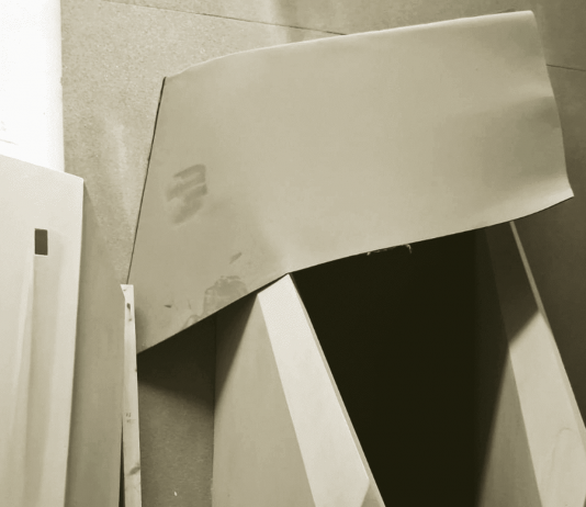 Maurizio Calza – Non allevare il figlio del cuculo