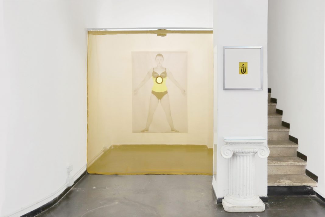 Serena Gandini – Archivio giallohttps://www.exibart.com/repository/media/formidable/11/img/e86/Installazione-site-specific-236x217-cm-include-opera-Private-fitting-2026-1068x712.jpg