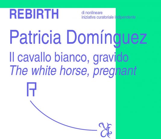 Patricia Domínguez. Il cavallo bianco, gravido