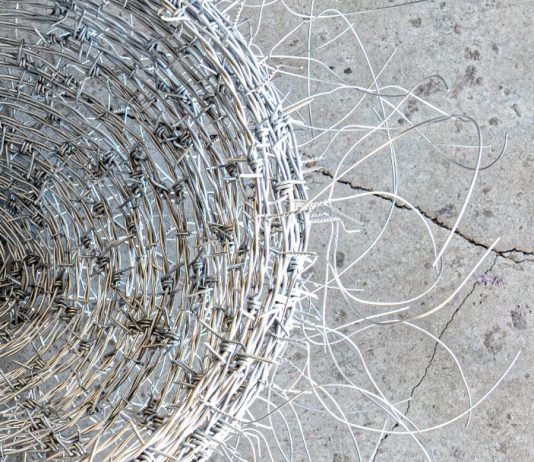 Andrea Marini – Anomale Intrusioni Andrea Marini – Anomale Intrusioni