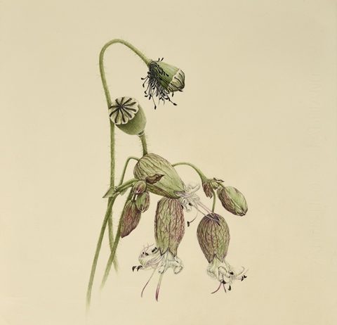 Sandra Santolini – Nulla da aggiungere, nulla da togliere Sandra Santolini – Nulla da aggiungere, nulla da togliere