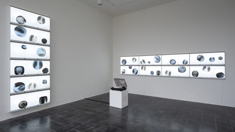 Incontro con Anna Jermolaevahttps://www.exibart.com/repository/media/formidable/11/img/eb4/Anna-Jermolaewa-Ribs-2022_24-quer-©-Markus-Krottendorfer-and-Bildrecht-scaled-1-800x451.jpg