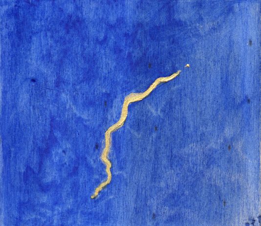 Elena Dell’Andrea / Rocco Sciaudone – Divino. La farfalla e la tempesta Elena Dell’Andrea / Rocco Sciaudone – Divino. La farfalla e la tempesta