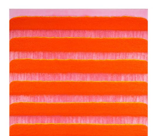 Ryu Iseup – Come aratro nel colore