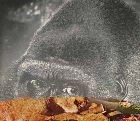 Daniele Villa Zorn – The Divine Tourist finissage