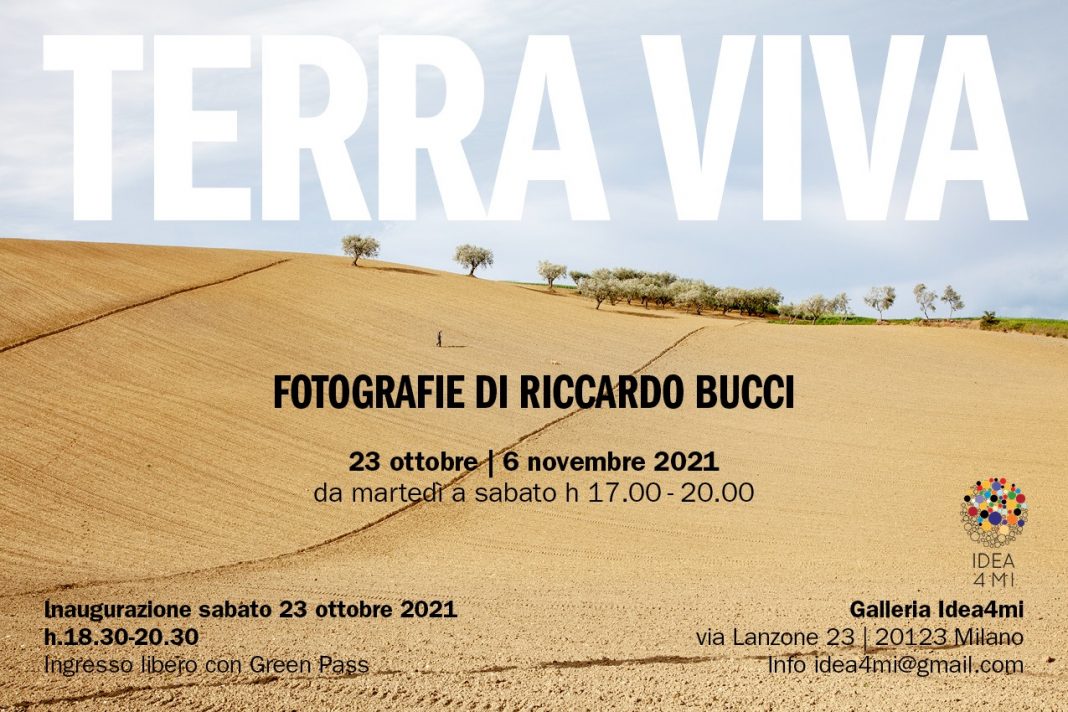 Riccardo Bucci – Terra Vivahttps://www.exibart.com/repository/media/formidable/11/img/eca/244773763_5385759074791530_475517395097863069_n-1068x712.jpeg