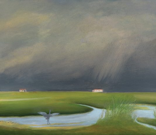 Verena D’Alessandro – Altri Sguardi