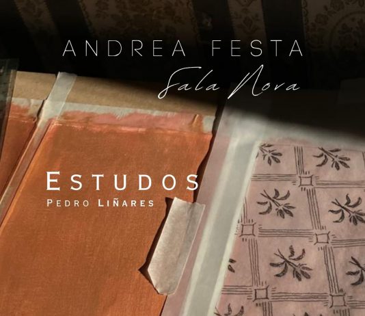 Pedro Liñares – Estudos